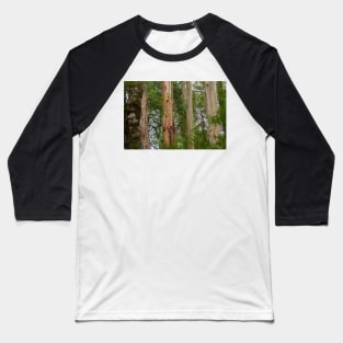 Four tree trunks in Otway National Park. Baseball T-Shirt